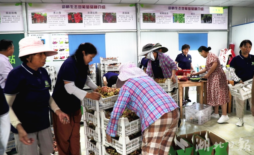 花呗可支付赌场